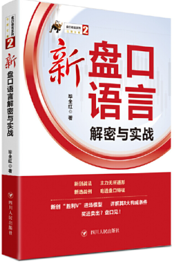 新盘口语言解密与实战pdf下载