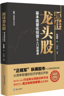 抓住龙头股pdf电子书