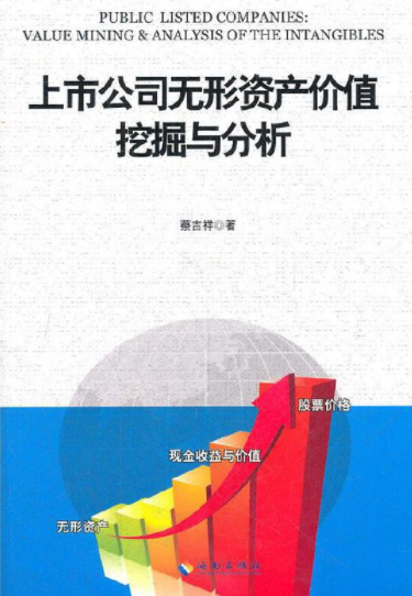 上市公司无形资产价值挖掘与分析pdf电子书介绍与下载