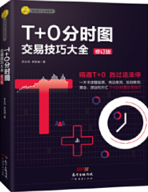 T+0分时图交易技巧大全修订版电子书介绍与下载